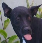 arieldonega's profile picture. Technology enthusiant, and all around crazy person.