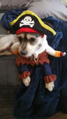 NickandMorty420's profile picture. Just a gamer and his dog trying to live free =)

Catch me on Twitch! 
https://t.co/2DCmCh7hGi