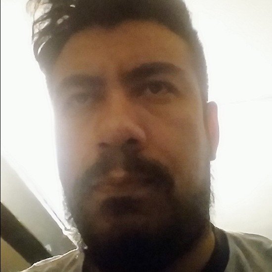 aBEARnal's profile picture. Constructor de cohetes, experto en pizzas, amante de los gigantes, padre...