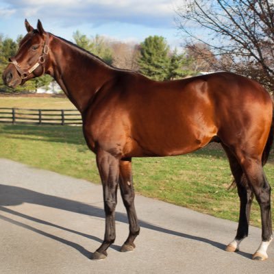 Official Twitter of Gallery Racing Stable owned by James McIngvale - Runhappy now standing at Claiborne Farm - any media related inquiries please DM