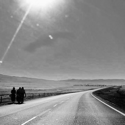 _docfox's profile picture. 这家伙很懒，啥玩意都不想写