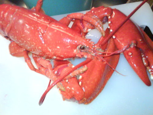 anneliejanred's profile picture. Head of Biomedical Library, Gothenburg University Library, Sweden