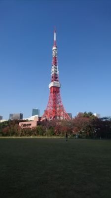 増上寺の赤羽橋側入口、弁天池のほとり、東京タワーのふもとに誕生した都会の樹木葬「芝庭苑」（増上寺塔頭 宝珠院）のスタッフのTwitterです。