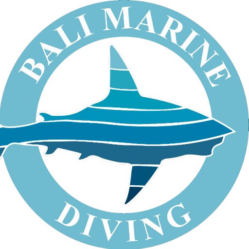 balimarinedive Profile Picture