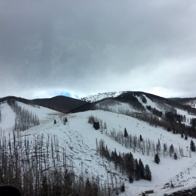 Dank_2000's profile picture. gone