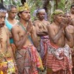 zamaludin_udin's profile picture. 