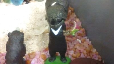 県下有数の自称進学校の片隅にひっそりと集まる怪しい集団。揃いも揃ってアホばかりの連中の近況や謎のコーナー「今週の名言」なんかを呟いていきます。(淫夢要素は)ないです。中の人→@ui3bie5kvkiX67v