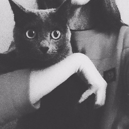 anastasia160026's profile picture. 