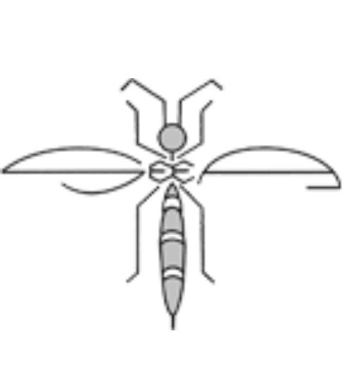 SEEA_entomol Profile Picture