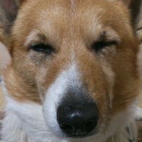 みーねぇ♡ (@beauty_spica) 's Twitter Profile Photo みーねぇ♡ (@beauty_spica) 's Twitter Profile Photo