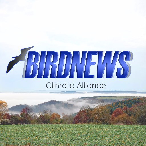 Birdnews Climate Alliance (BCA) is
an international initiative. Our goal is to promote clean & safe environment.