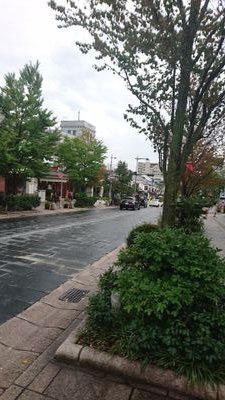 bhiie2tokkkb252's profile picture. 