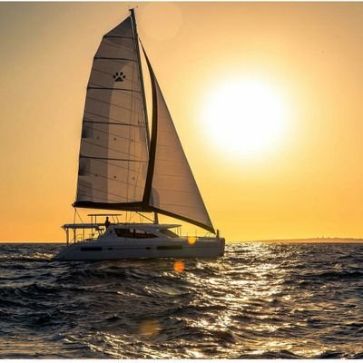 stefansalda's profile picture. Every life is a story....make yours a best seller.  Founder & CEO of Mickmash - The Art of Creating Unique Destinations