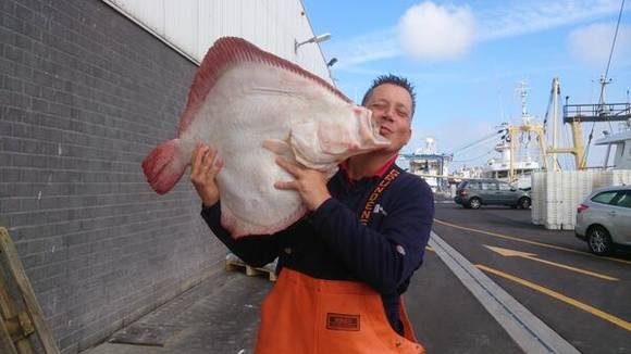 Werkzaam op de visafslag van Den Helder. Elke vrijdag verkoop ik vis op de vismarkt van #denhelder Vismarkt/Frysk/Fish/visafslag/DenHelder/Vrijdagvisdag/