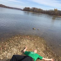 Alex Fox (@f0xa1ex) 's Twitter Profile