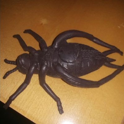 clintadamek's profile picture. 