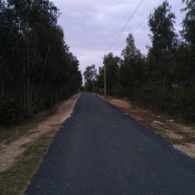 crajanm's profile picture. 