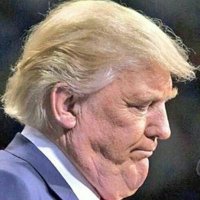 RealDonaldTraitor (@mehdonaldtrump) 's Twitter Profile