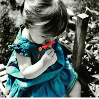 روز الحربي ♡Lady (@rosealharbi0) 's Twitter Profile