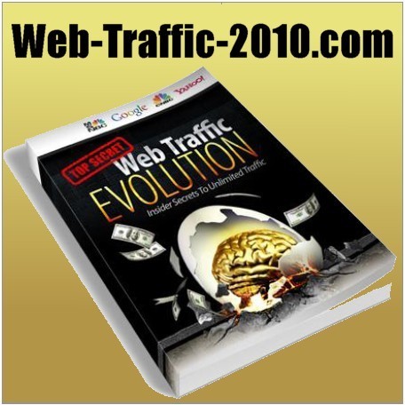 Internet Marketer - Report on Free Web Traffic