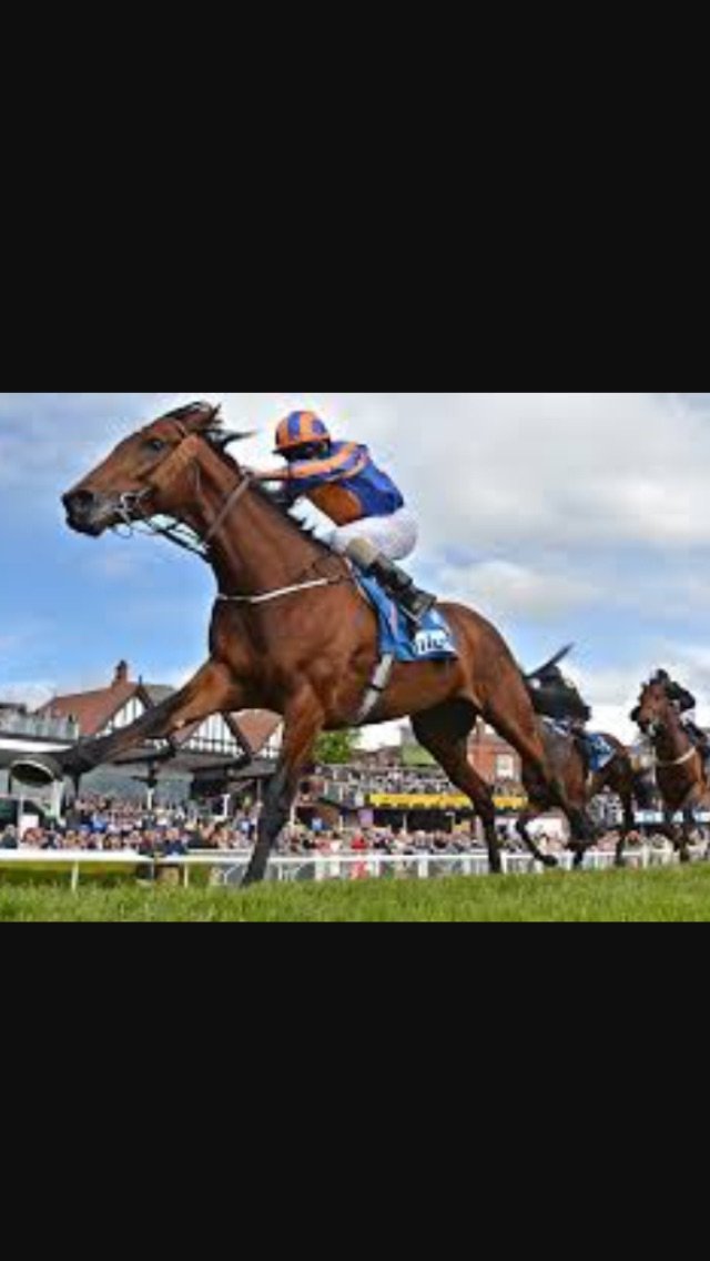 I'm a man who has a lot of contacts in horse racing, im here to share!