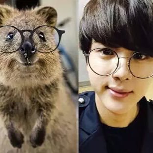 EatjinSenpai's profile picture. 파이중 갑은 석진 센파이 #kingofpie_seokjinsenpai 녜...전 Bts에 살고있읍니다..껄껄😏 음지 X 제발 다 같이 어덕행덕했으면 좋겠......