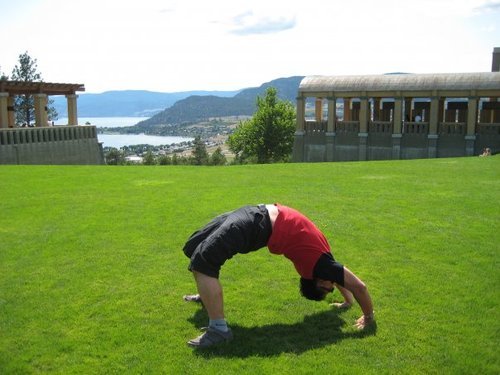 yogapanda's profile picture. 