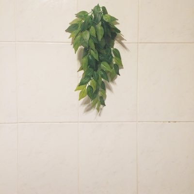 baeburrito's profile picture. 🕳