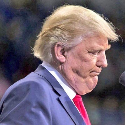 President Elect, Fabulously Rich (you'll never see my tax returns), Most Powerful Man in the World, Bigot, Sexual Libertarian, Divider.