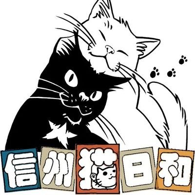 NPO法人信州猫日和です。 保護猫ハウス運営中♪ 開場時間は12:00〜19:00(土日は短縮)。 定休日は月・火曜日(祝日は開場)です。入場時のご寄付で餌代や医療費、運営費を賄っています。 欲しいものリストhttps://t.co/RuKorwwTOe 展示/長野市第165004号/有効期限令和8年12月19日