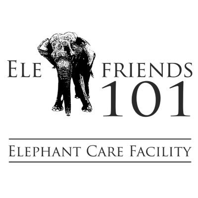 elefriends101's profile picture. Animal Welfare Animals Elephants