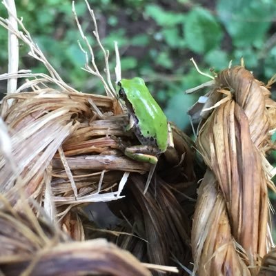 建物の中より外で土とかいじってたい！ そのうち農業をしたいと考え中… 今は情報収集中です。農業大学校に行きたいな(^^)/ 無言フォロー失礼します！