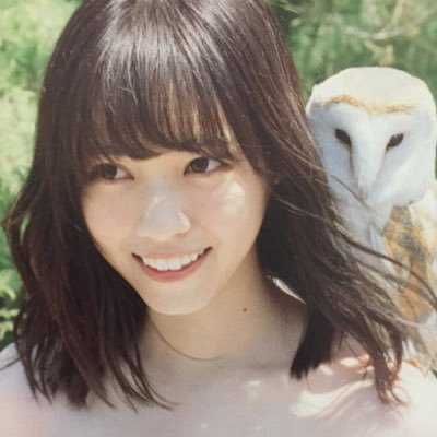 だいのぎ⊿さんのプロフィール画像