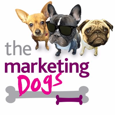 Life at @themktingpeople a web, design and marketing agency for George (French bulldog), Chops (Pug) and Sammy (Mini Pinscher)