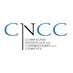 CNCC (@CNCC_audit) Twitter profile photo