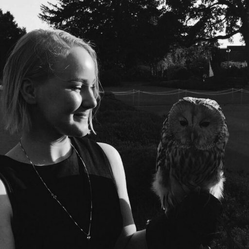 jorunnjoiner's profile picture. PhD Student in English literature at Lund University, studying Vikings in eighteenth-century Britain. Previous MA student at the University of Exeter.