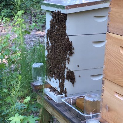 joenailer's profile picture. Inquisitive, capable and ready