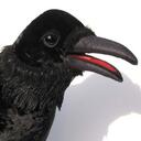 Jason Gaskin - @arkansasgaskin - Twitter