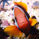 Rod Clifford - @tasha4me - Twitter