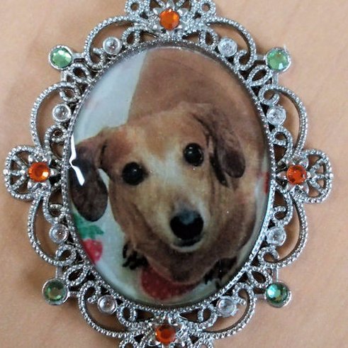 tal0032's profile picture. 