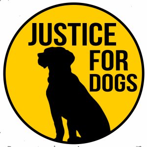 justicefordog's profile picture. Justice for dogs has been set up to raise awareness of dog stereotyping. #justicefordogs https://t.co/Za3XHhdZZM