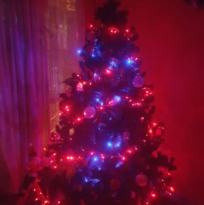 yesidaochoa's profile picture. Luchar cada dia para ser mejor persona