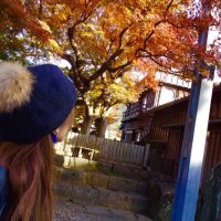 さきっぽ (@sakippo72) 's Twitter Profile