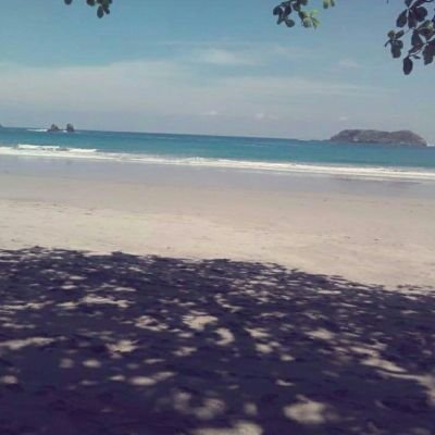 AnaGonzalezAra2's profile picture. Guía turística: Santuario Canopy Adventure Tour