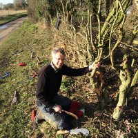 Halcyon Ecology (@markprina) 's Twitter Profile