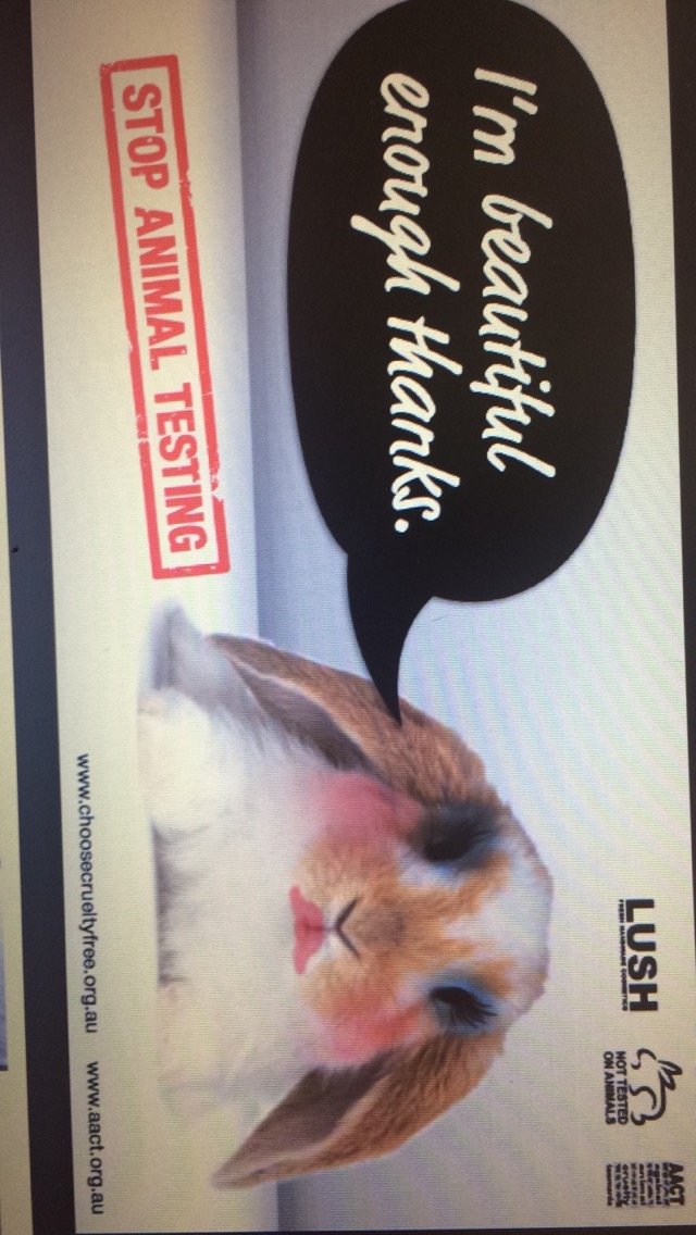 Animaltesting07's profile picture. 