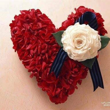 DJUa0G0rRJ1RUId's profile picture. 