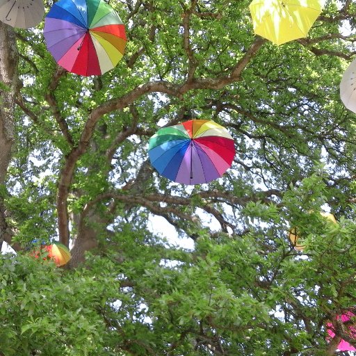 susanneevsmith's profile picture. Snr Lecturer @ExeterMed @UniofExeter. Committed to improving Patient Safety & Staff Experience by transformative education. Not using Twitter, pls use LinkedIn.