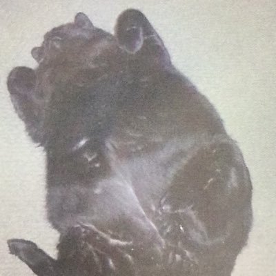 studybreak3's profile picture. 