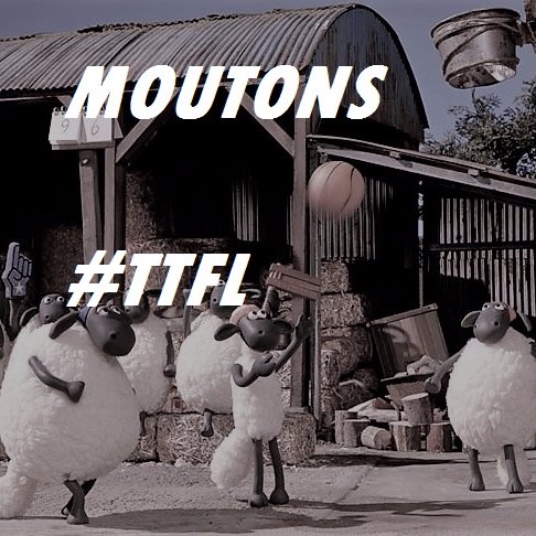 On a tondu les moutons et puis James Harden nohh Et réparé la moto avec Tony Allen nohh | Team Moutons @TrashTalk_fr Fantasy League |La #TTFL c'est du velours
